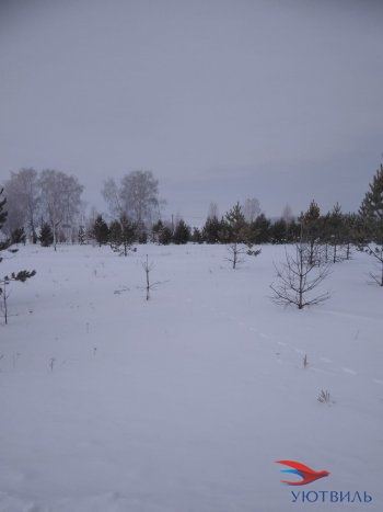 Земельный участок поселок Баженово в Нижней Туре - nizhnyaya-tura.yutvil.ru - фото 2