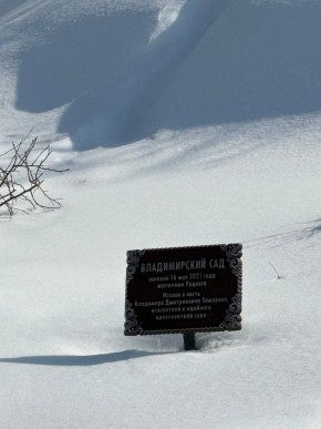 ДП Родной в Нижней Туре - nizhnyaya-tura.yutvil.ru - фото 11
