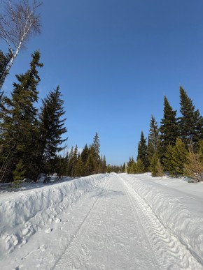 ДП Родной в Нижней Туре - nizhnyaya-tura.yutvil.ru - фото 7