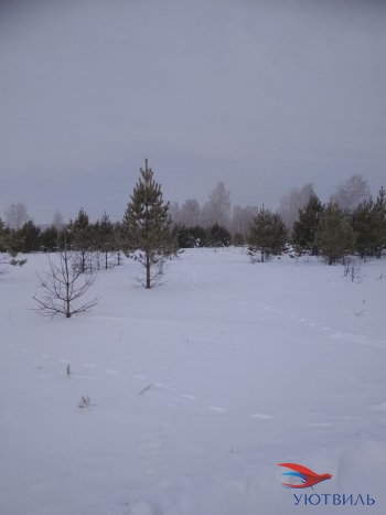 Земельный участок поселок Баженово в Нижней Туре - nizhnyaya-tura.yutvil.ru - фото 5