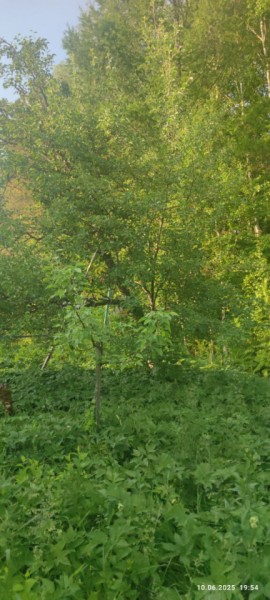 г Верхняя пышма, СНТ Мираж, уч.№ 99 в Нижней Туре - nizhnyaya-tura.yutvil.ru - фото 10