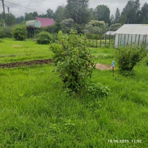г Верхняя пышма, СНТ Мираж, уч.№ 99 в Нижней Туре - nizhnyaya-tura.yutvil.ru - фото 11