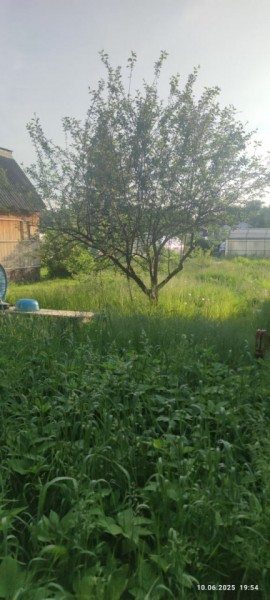 г Верхняя пышма, СНТ Мираж, уч.№ 99 в Нижней Туре - nizhnyaya-tura.yutvil.ru - фото 19