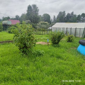 г Верхняя пышма, СНТ Мираж, уч.№ 99 в Нижней Туре - nizhnyaya-tura.yutvil.ru - фото 22