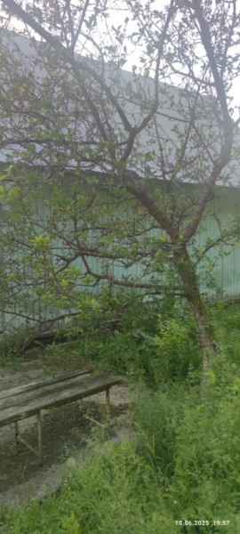 г Верхняя пышма, СНТ Мираж, уч.№ 99 в Нижней Туре - nizhnyaya-tura.yutvil.ru - фото 26