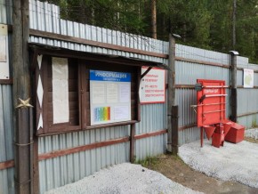 г.Верхняя Пышма СНТ №5 Березки в кв. 22 Среднеуральского Уралмашевского лесхоза в Нижней Туре - nizhnyaya-tura.yutvil.ru - фото 18