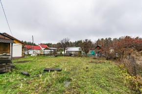 коллективный сад № 13, СНТ Садовод в Нижней Туре - nizhnyaya-tura.yutvil.ru - фото 40