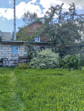 Коллективный сад номер 7, участок 58 в Нижней Туре - nizhnyaya-tura.yutvil.ru - фото 21