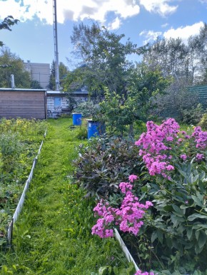 Коллективный сад номер 7, участок 58 в Нижней Туре - nizhnyaya-tura.yutvil.ru - фото 23