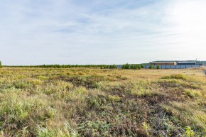 Российская Федерация, Свердловская область, Сысертский городской округ, территория садоводческого некоммерческого товарищества Бобровские дачи, улица Каштановая, земельный участок № 38 в Нижней Туре - nizhnyaya-tura.yutvil.ru - фото 24