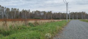 с. Новоалексеевское, КП Оникс,  в Нижней Туре - nizhnyaya-tura.yutvil.ru - фото 2