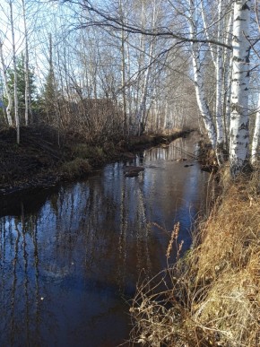 СНТ Берёзка в Нижней Туре - nizhnyaya-tura.yutvil.ru - фото 14