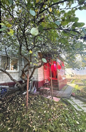 СНТ Дорожник, 97 в Нижней Туре - nizhnyaya-tura.yutvil.ru - фото 4