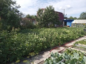 СНТ Медик-2 в Нижней Туре - nizhnyaya-tura.yutvil.ru - фото 6