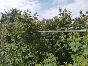 СНТ Медик-2 в Нижней Туре - nizhnyaya-tura.yutvil.ru - фото 8