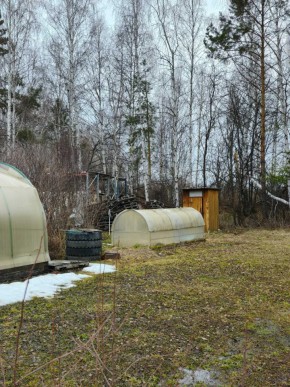 СНТ Родники в Нижней Туре - nizhnyaya-tura.yutvil.ru - фото 14 СНТ Родники в Нижней Туре - nizhnyaya-tura.yutvil.ru - фото 14