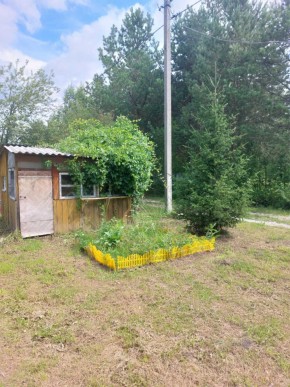 СНТ Родники в Нижней Туре - nizhnyaya-tura.yutvil.ru - фото 1