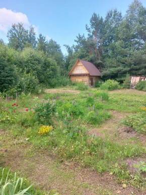 СНТ Родники в Нижней Туре - nizhnyaya-tura.yutvil.ru - фото 2