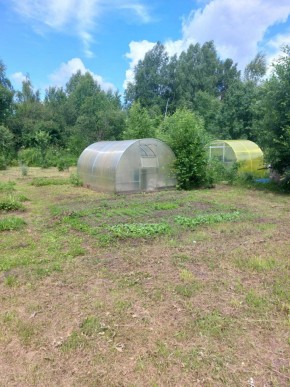 СНТ Родники в Нижней Туре - nizhnyaya-tura.yutvil.ru - фото 3