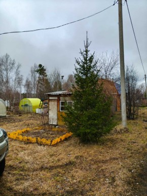 СНТ Родники в Нижней Туре - nizhnyaya-tura.yutvil.ru - фото 5