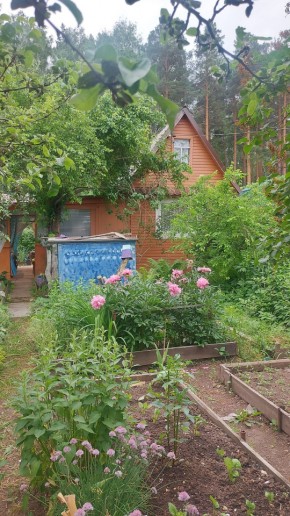 СНТ Садовод-24 в Нижней Туре - nizhnyaya-tura.yutvil.ru