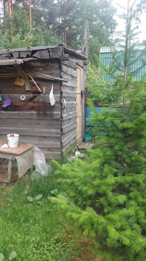 СНТ Садовод-24 в Нижней Туре - nizhnyaya-tura.yutvil.ru - фото 13