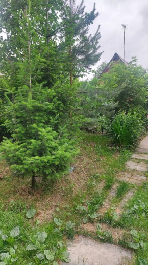 СНТ Садовод-24 в Нижней Туре - nizhnyaya-tura.yutvil.ru - фото 15