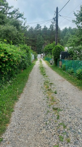 СНТ Садовод-24 в Нижней Туре - nizhnyaya-tura.yutvil.ru - фото 19