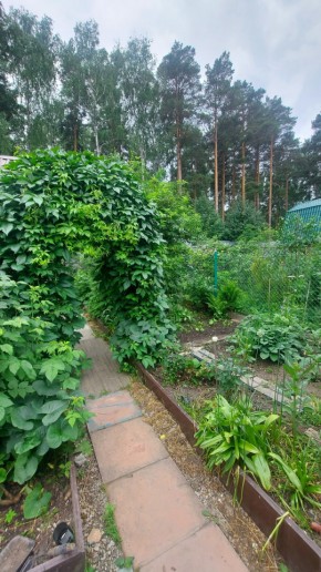 СНТ Садовод-24 в Нижней Туре - nizhnyaya-tura.yutvil.ru - фото 20