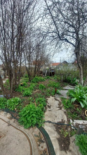СНТ Сирень, уч. 38 в Нижней Туре - nizhnyaya-tura.yutvil.ru - фото 7