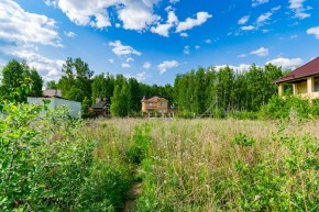 снт. СТ Березовая роща (КК:1801013) в Нижней Туре - nizhnyaya-tura.yutvil.ru - фото 10
