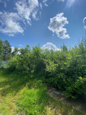 СПК Юбилейный, уч. 9 в Нижней Туре - nizhnyaya-tura.yutvil.ru - фото 8