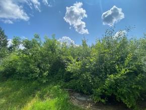 СПК Юбилейный, уч. 9 в Нижней Туре - nizhnyaya-tura.yutvil.ru - фото 9