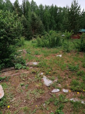 СТН Семья №112, Верхняя пышма на землях бывшего подсобного хозяйтва верхнепышминского опытного завода в Нижней Туре - nizhnyaya-tura.yutvil.ru - фото 17 СТН Семья №112, Верхняя пышма на землях бывшего подсобного хозяйтва верхнепышминского опытного завода в Нижней Туре - nizhnyaya-tura.yutvil.ru - фото 17