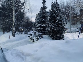 ул. 8 Марта,7 в Нижней Туре - nizhnyaya-tura.yutvil.ru - фото 20