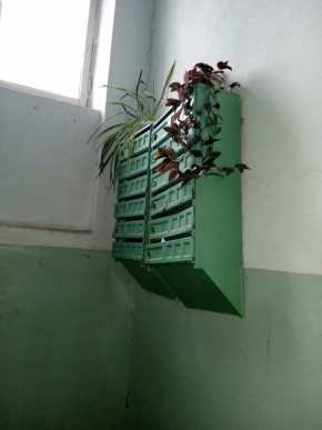 ул. Бажова,11 в Нижней Туре - nizhnyaya-tura.yutvil.ru - фото 2