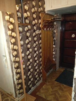 ул. Бажова,11 в Нижней Туре - nizhnyaya-tura.yutvil.ru - фото 9