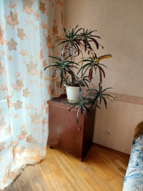 ул. Индустрии,29 в Нижней Туре - nizhnyaya-tura.yutvil.ru - фото 4