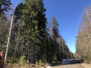 ул. Калиновая,9 в Нижней Туре - nizhnyaya-tura.yutvil.ru - фото 4