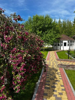 ул. Первомайская,220 в Нижней Туре - nizhnyaya-tura.yutvil.ru - фото 2