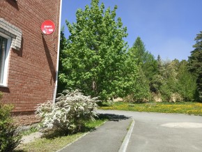 ул. Сосновая, 8 в Нижней Туре - nizhnyaya-tura.yutvil.ru - фото 25 ул. Сосновая, 8 в Нижней Туре - nizhnyaya-tura.yutvil.ru - фото 25