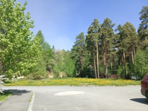ул. Сосновая, 8 в Нижней Туре - nizhnyaya-tura.yutvil.ru - фото 26 ул. Сосновая, 8 в Нижней Туре - nizhnyaya-tura.yutvil.ru - фото 26