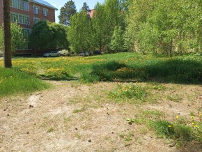 ул. Сосновая, 8 в Нижней Туре - nizhnyaya-tura.yutvil.ru - фото 33 ул. Сосновая, 8 в Нижней Туре - nizhnyaya-tura.yutvil.ru - фото 33