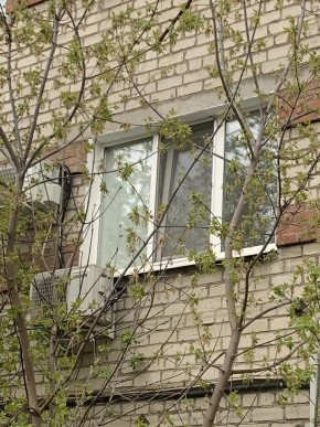 ул. Таганская,8 в Нижней Туре - nizhnyaya-tura.yutvil.ru - фото 14