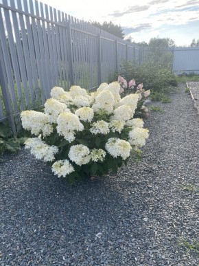 ул. Весенняя,12 в Нижней Туре - nizhnyaya-tura.yutvil.ru - фото 20